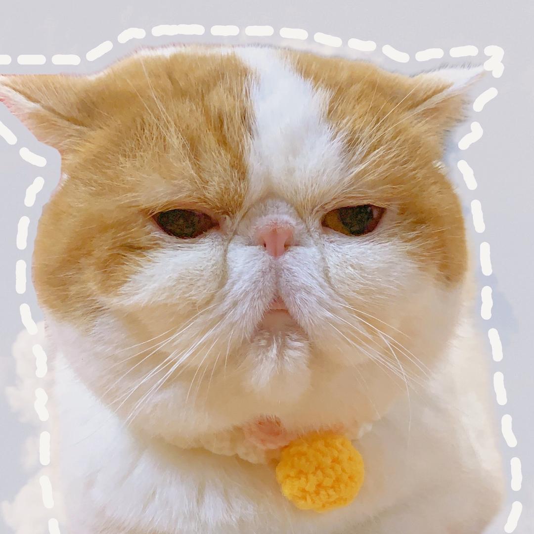 哆啦栗子