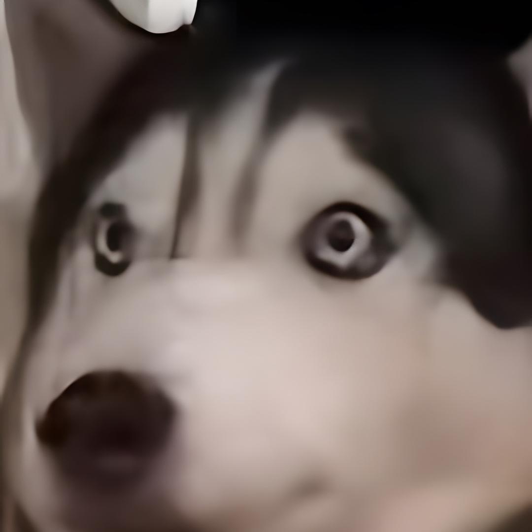咋还不困呢