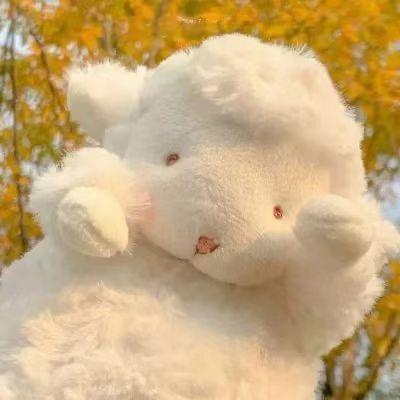 ゜・* ☆✨🌸✨☆.*・゜