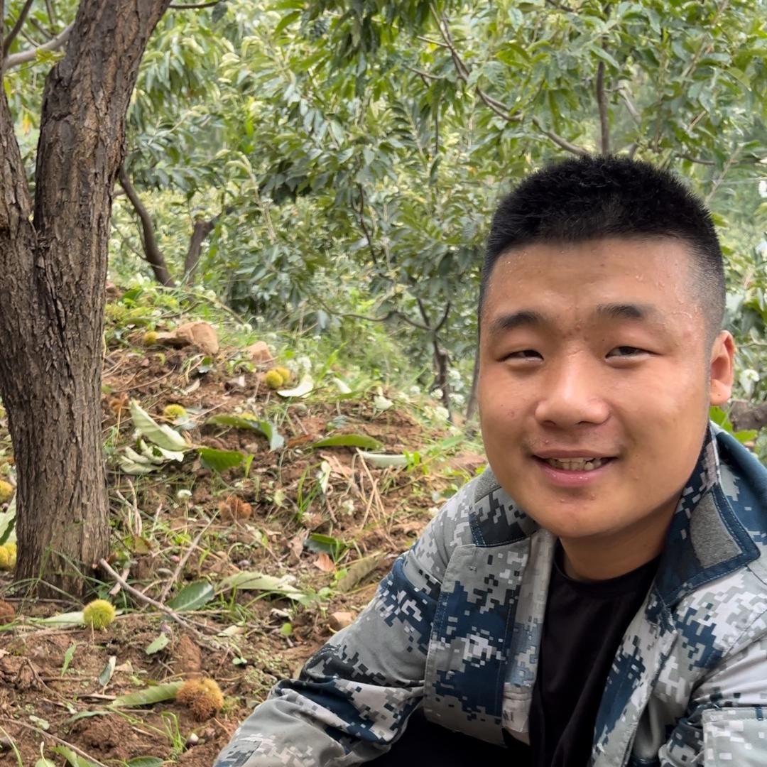 佳佳正宗迁西3113板栗