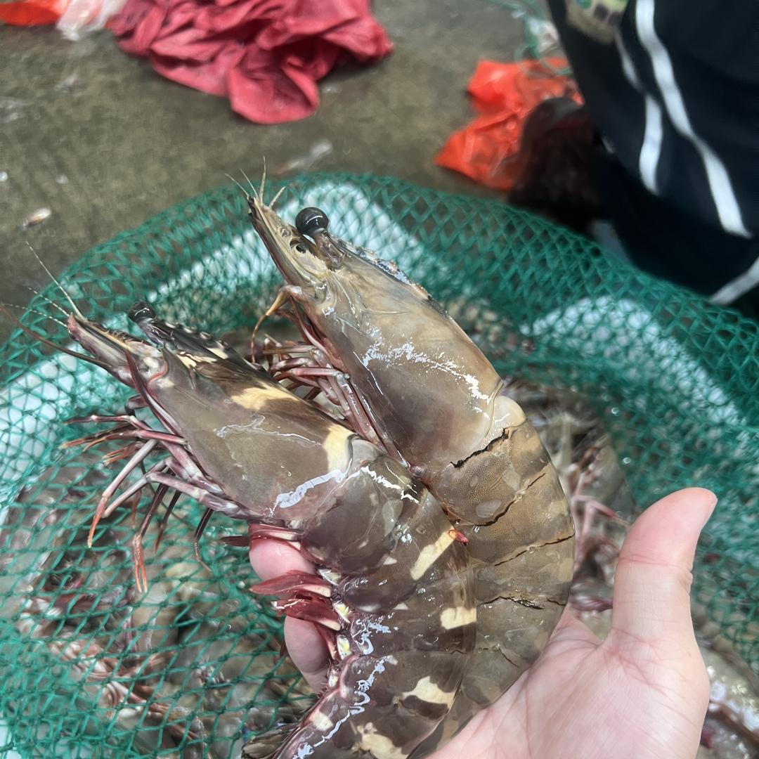 阿顺海鲜水产品