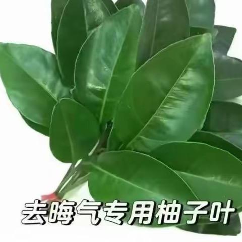 莉莉安lla