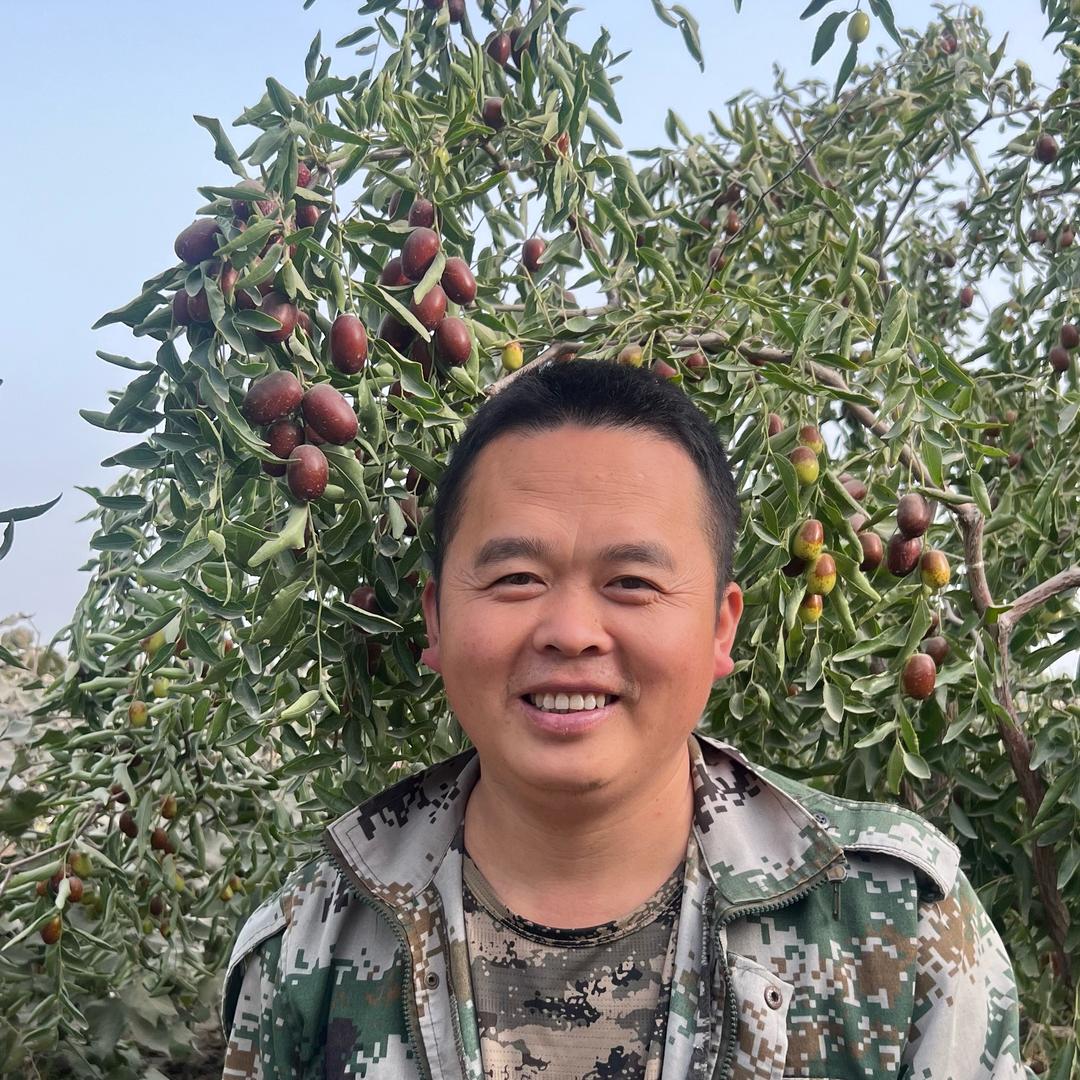 西域灰枣