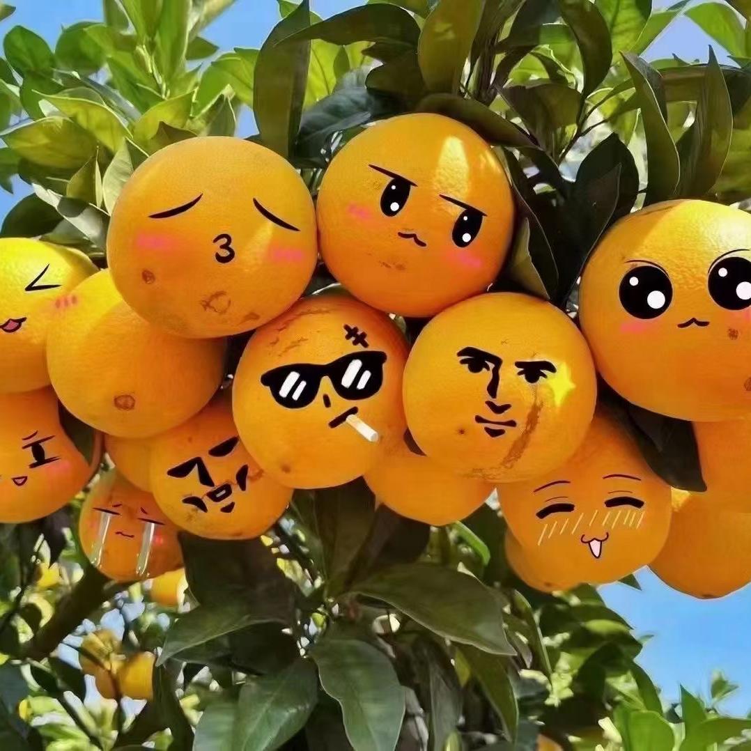 润泽果园赣南脐橙优选