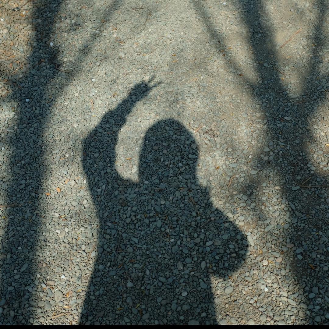 东篱生活记（改造版）