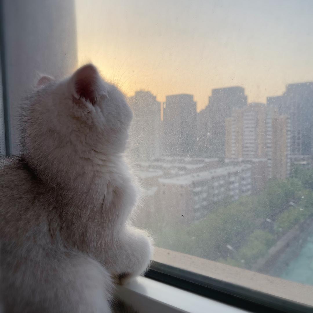 ～贾不假～ 😆