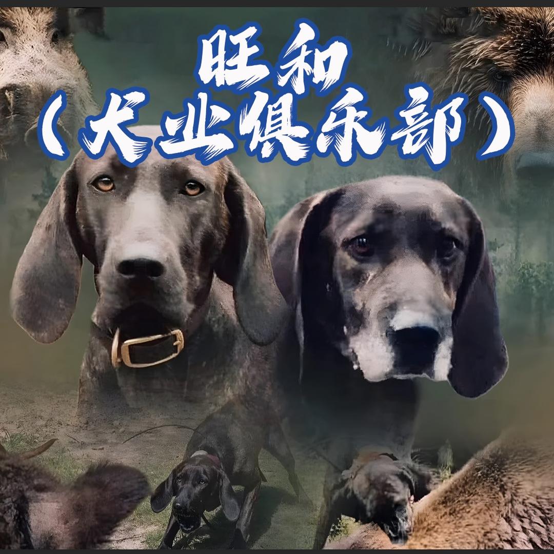 旺和(犬业俱乐部)