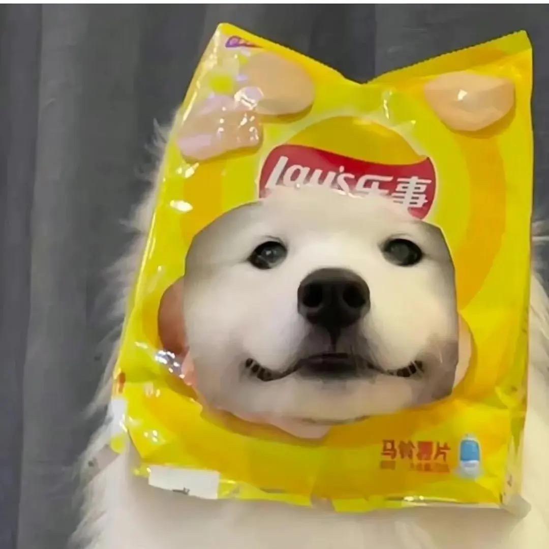 脆脆薯条洋葱奶酪