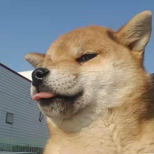清风头像