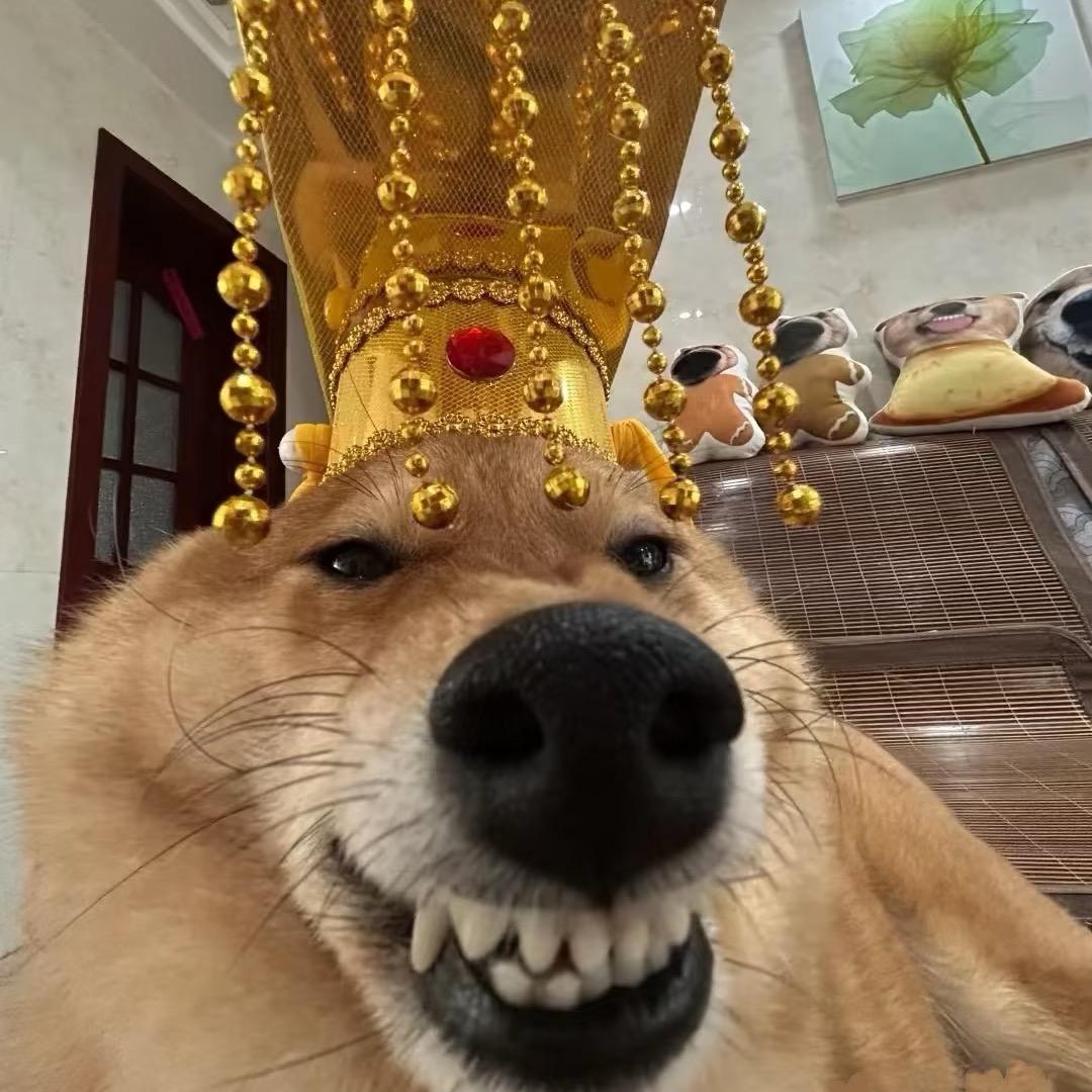 犟总
