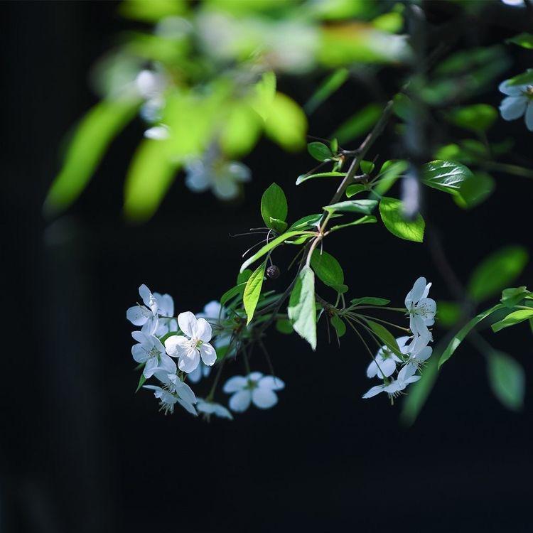 吾悦