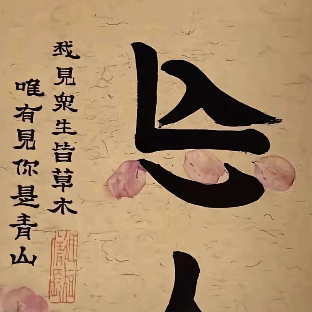 小柒哥