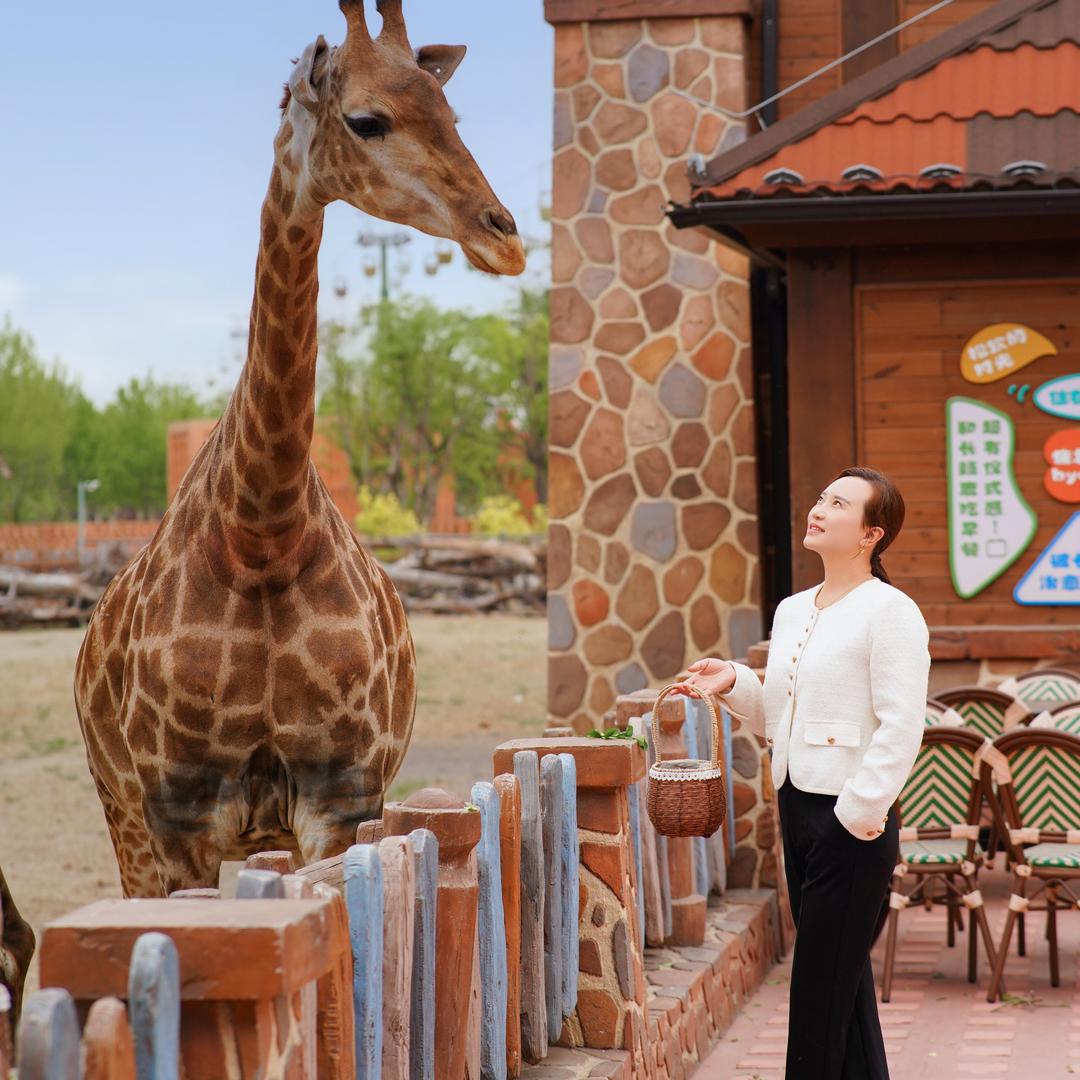 泉州欧乐堡🦒长颈鹿庄园🦒