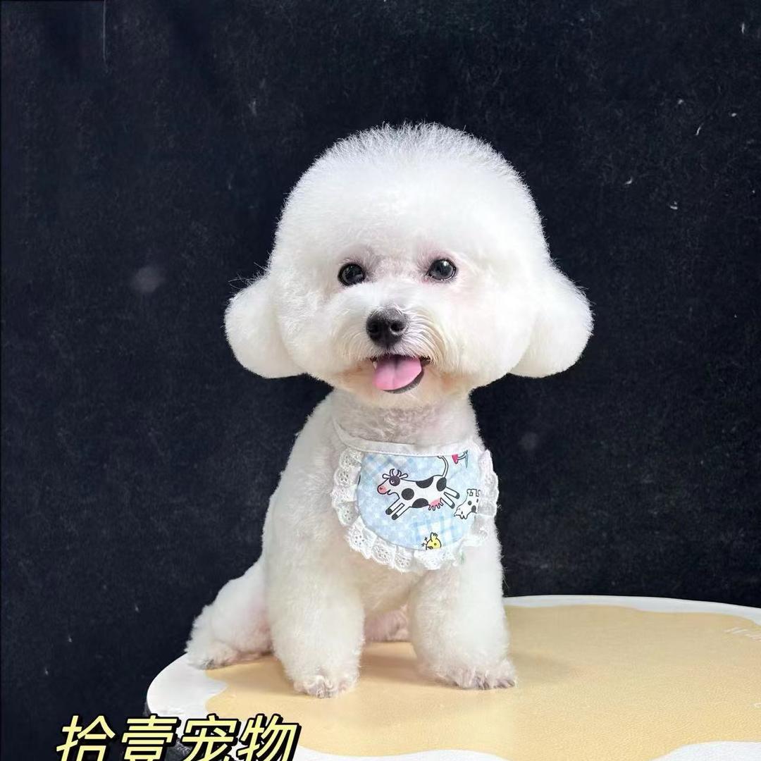 温迪不姓温