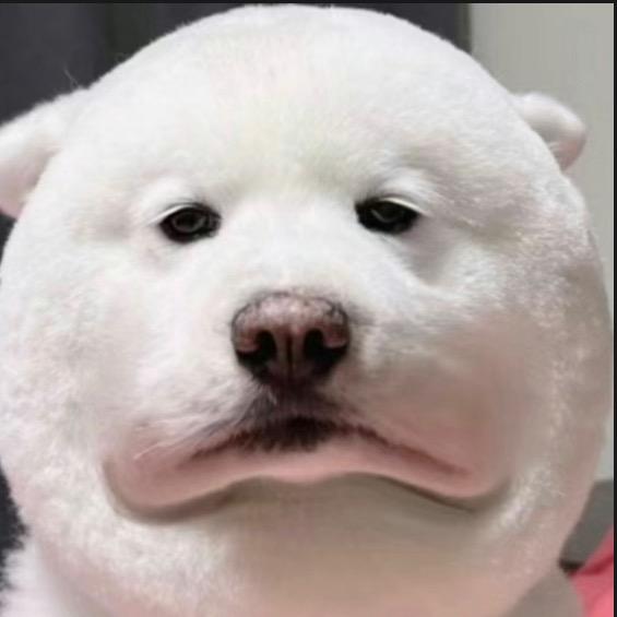 大小伙子🤴🏻