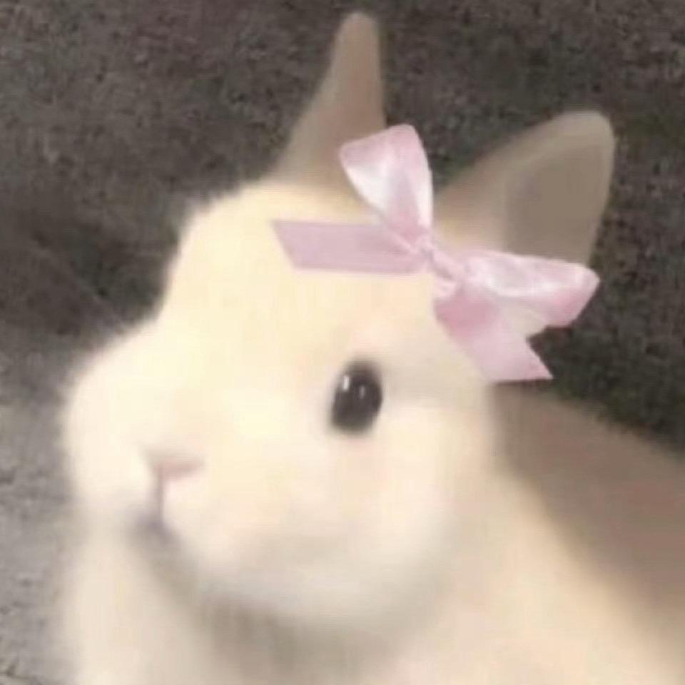 鱼鱼