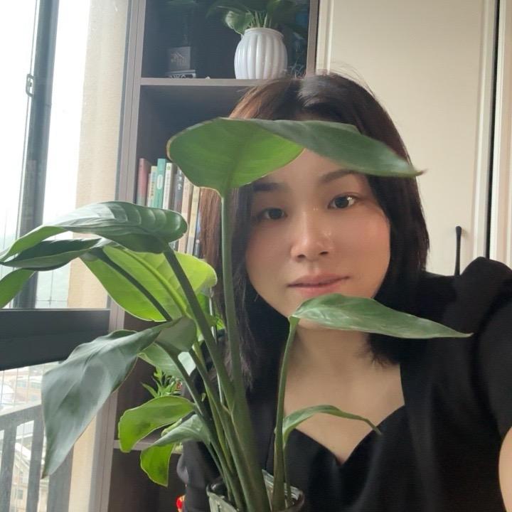 Luo小罗绿植花卉
