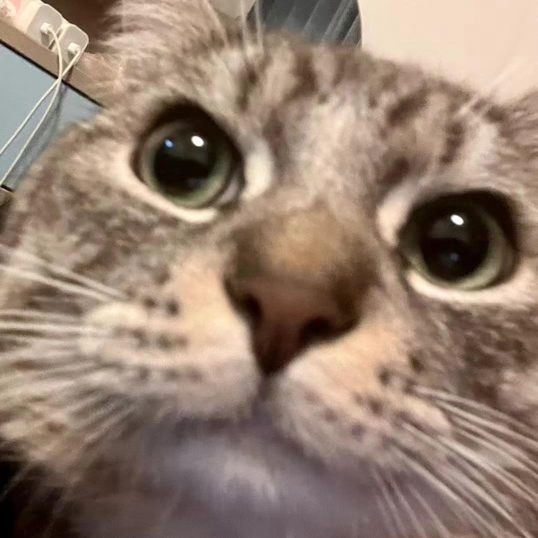 Jax