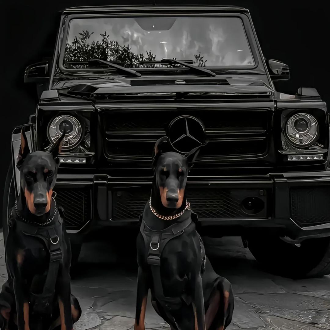 香港🇭🇰楠楠