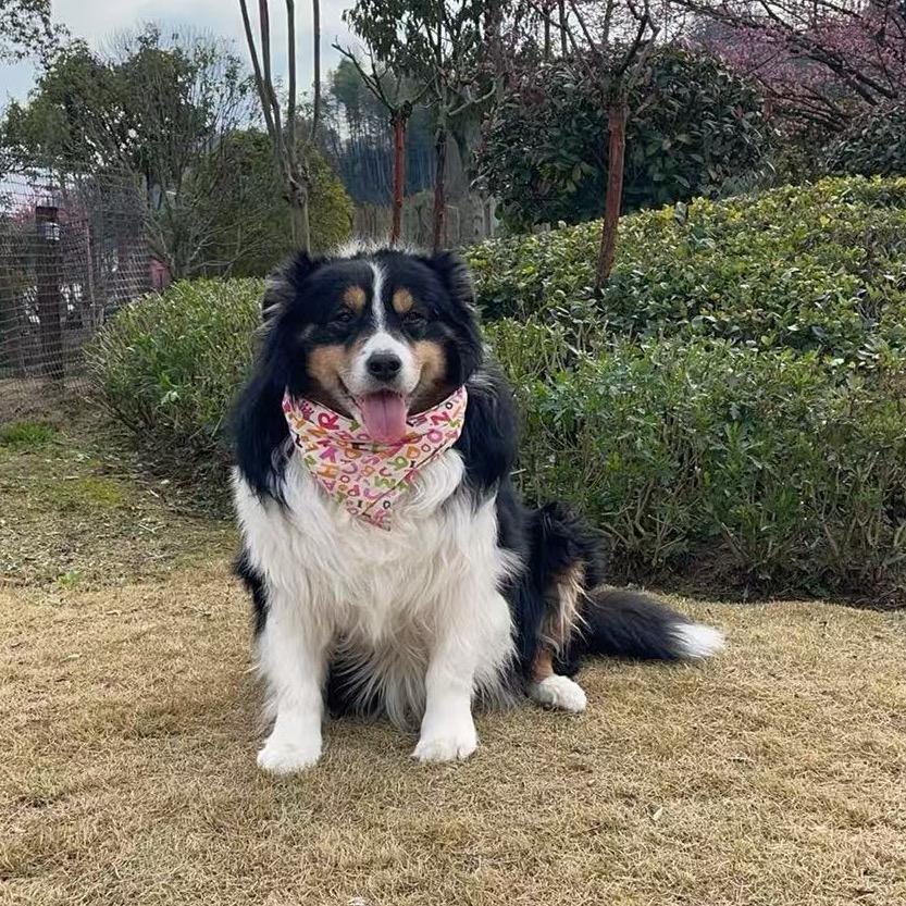 借风凉心❤️❤️