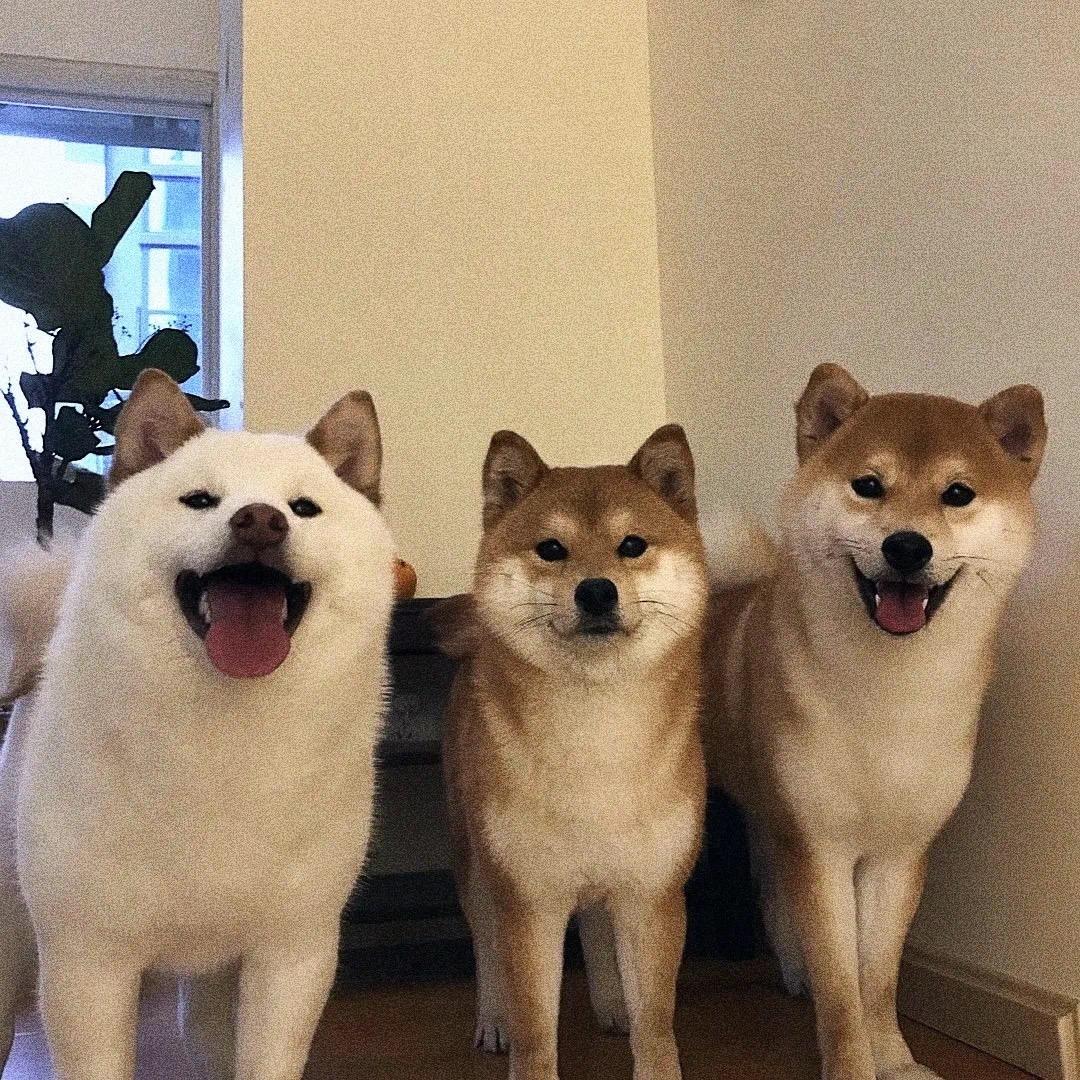 不愿透露姓名的大鑫