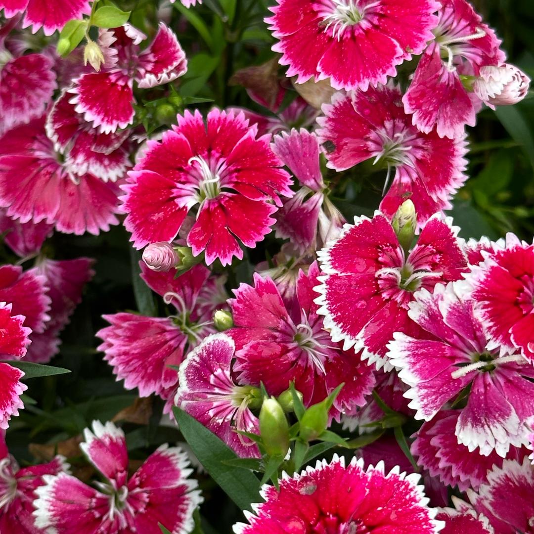 ☀️阿爆爆爆爆爆