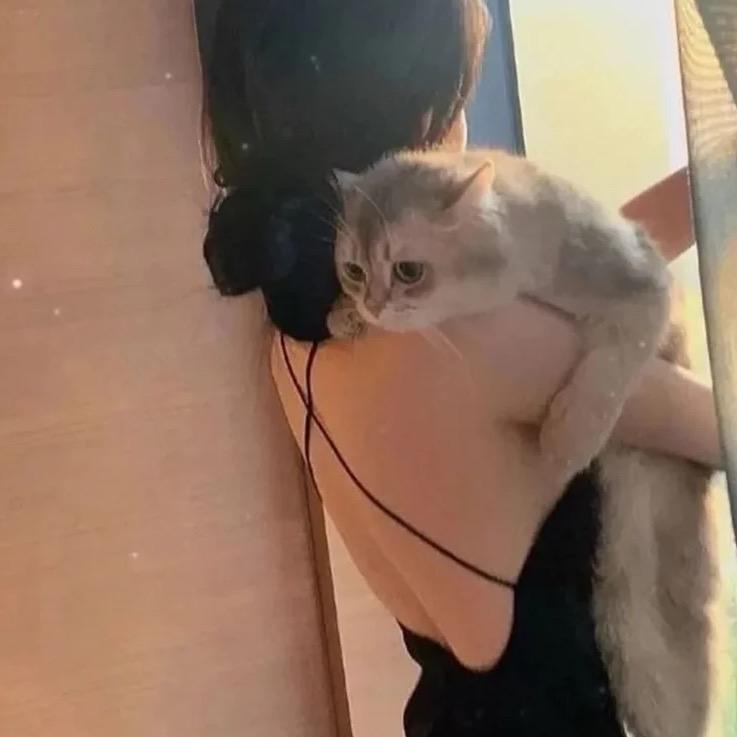 斐.然