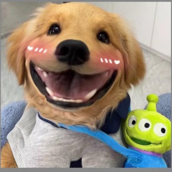 啊远1