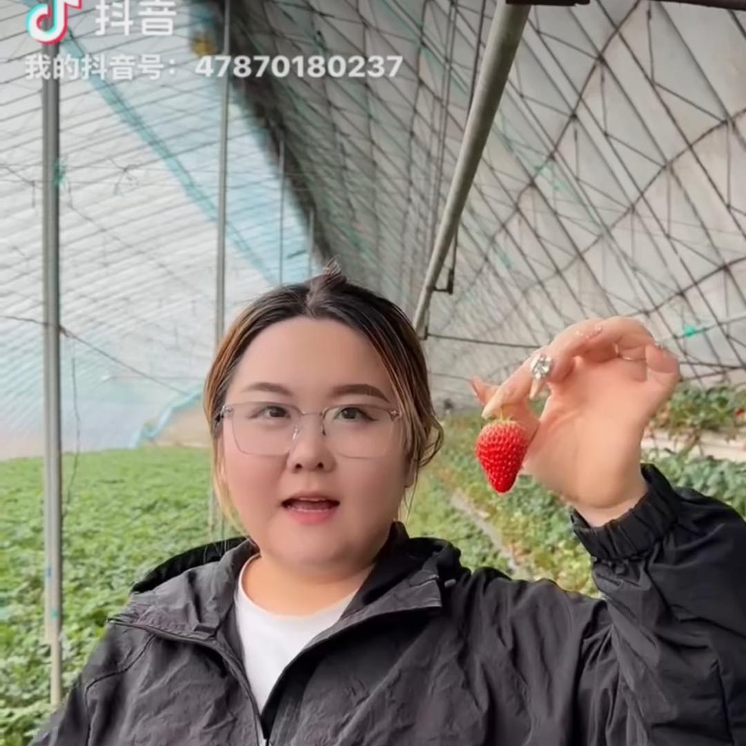 大橙市鲜果优选(西林店)