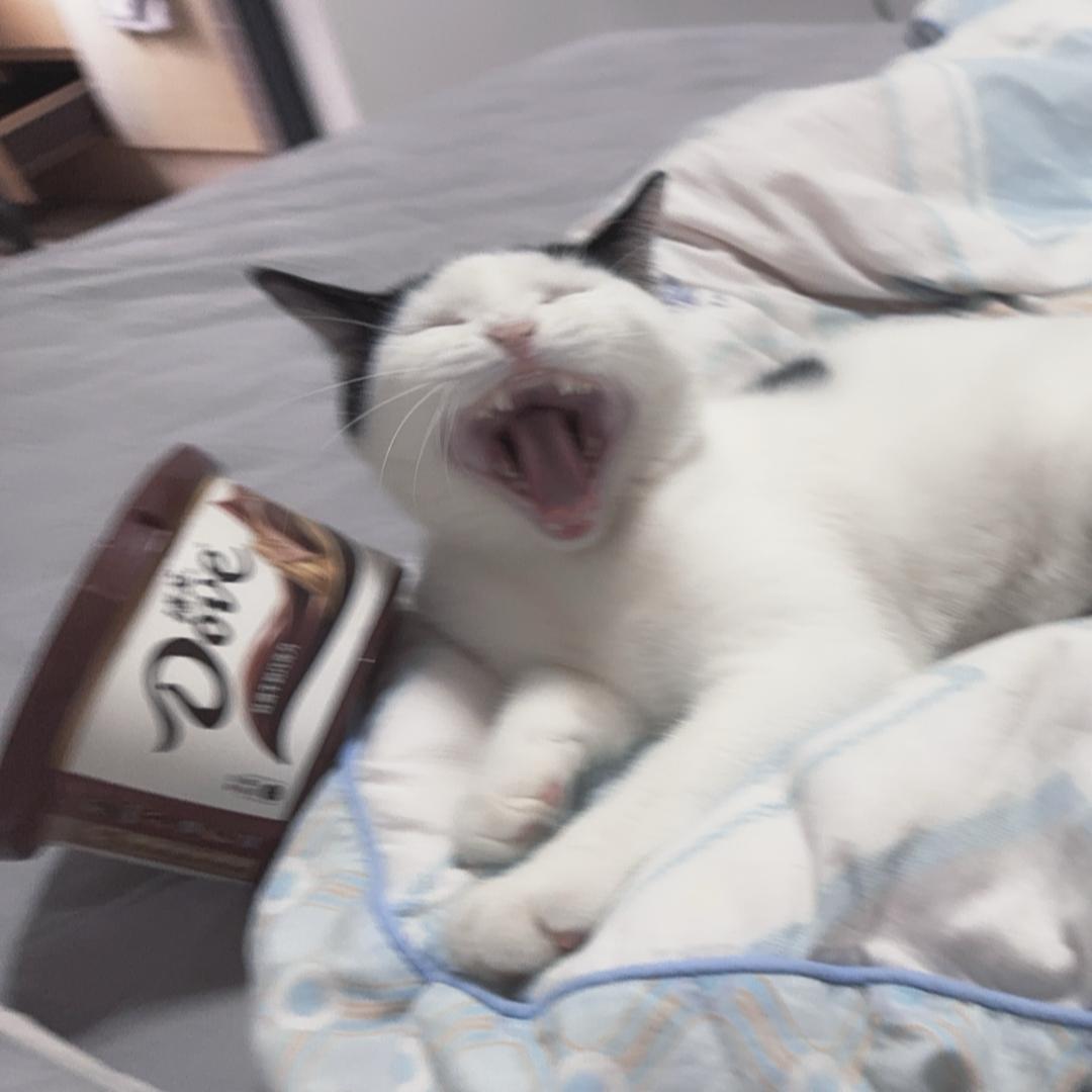 盛夏芬德拉-偶尔打劫！