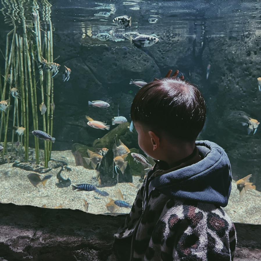 贝赫水族宠物用品馆