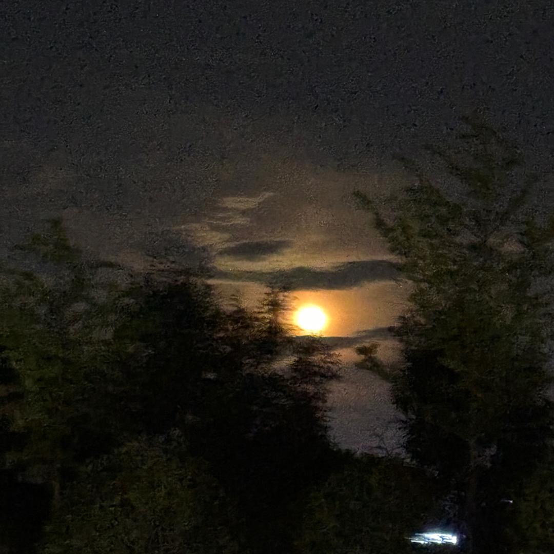 何来尘埃飞舞