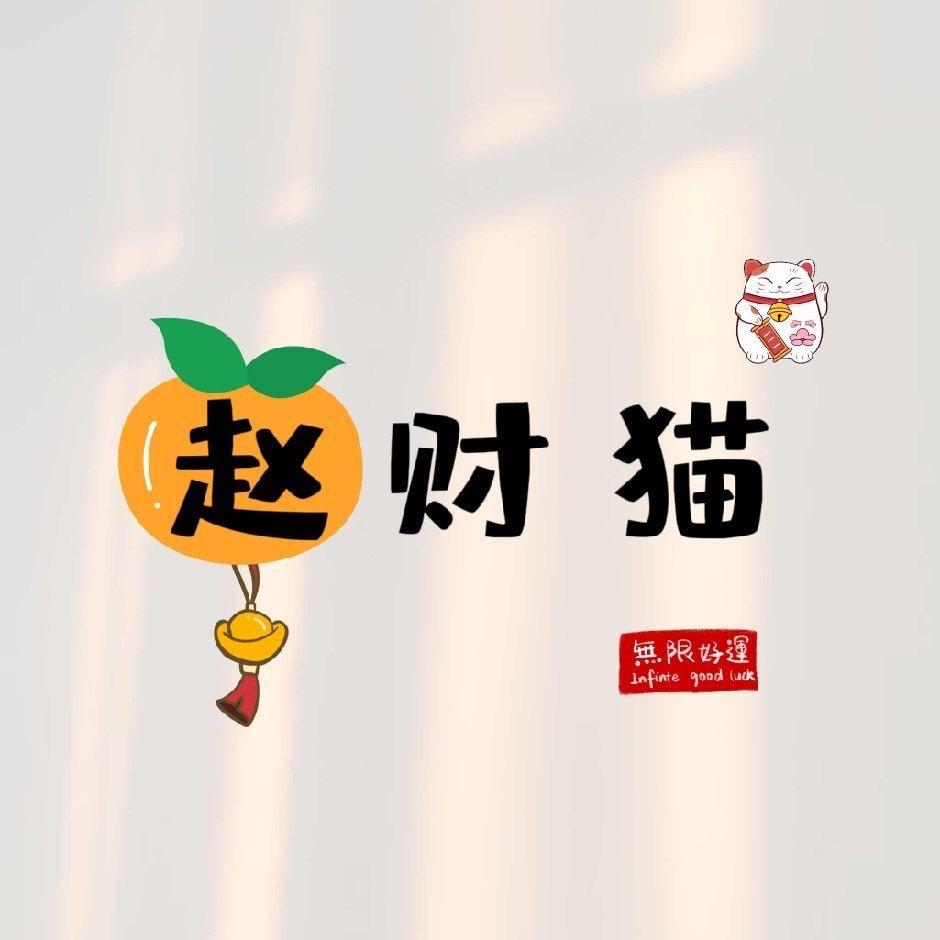 百万是个公主👑