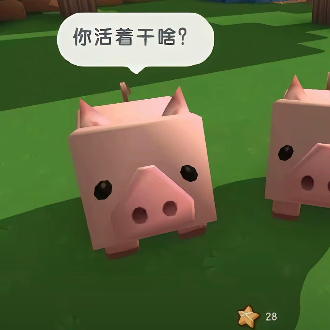 我做的所有选择都是错