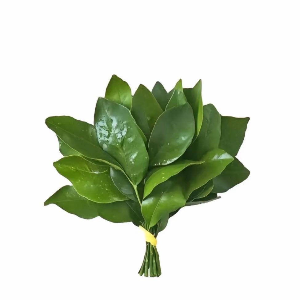 谢谢你的关注呦
