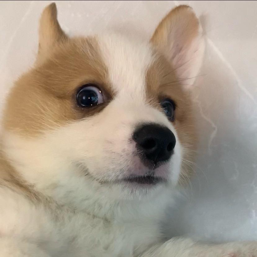 咿呀咿呀哟～