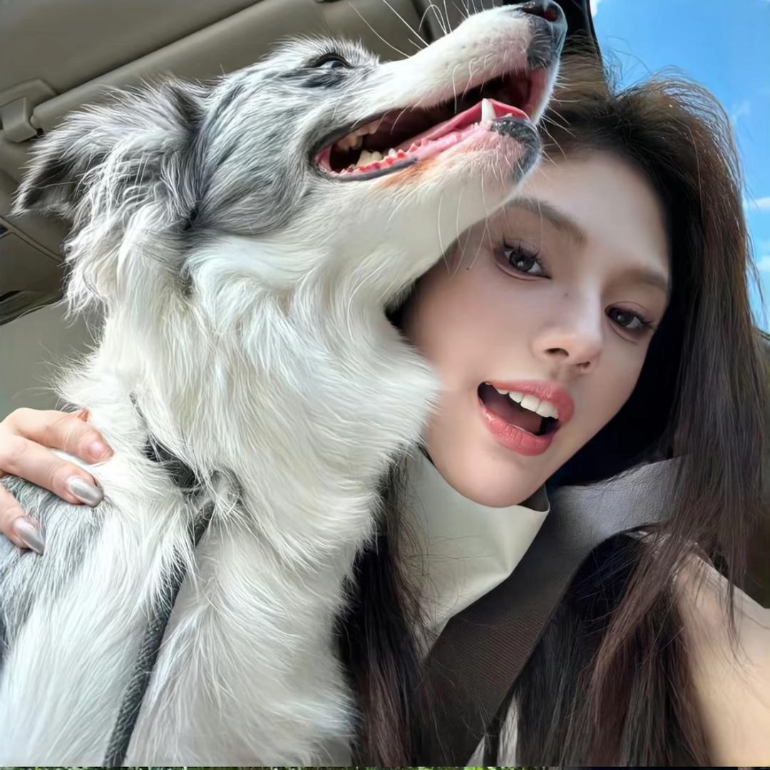 美丽大板砖