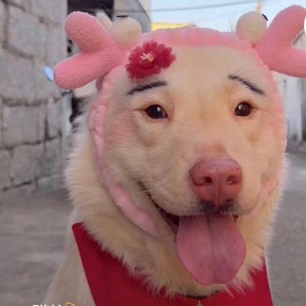 八八九十一