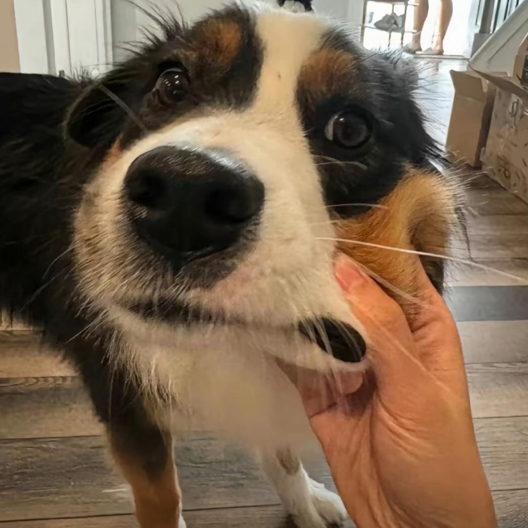 👩