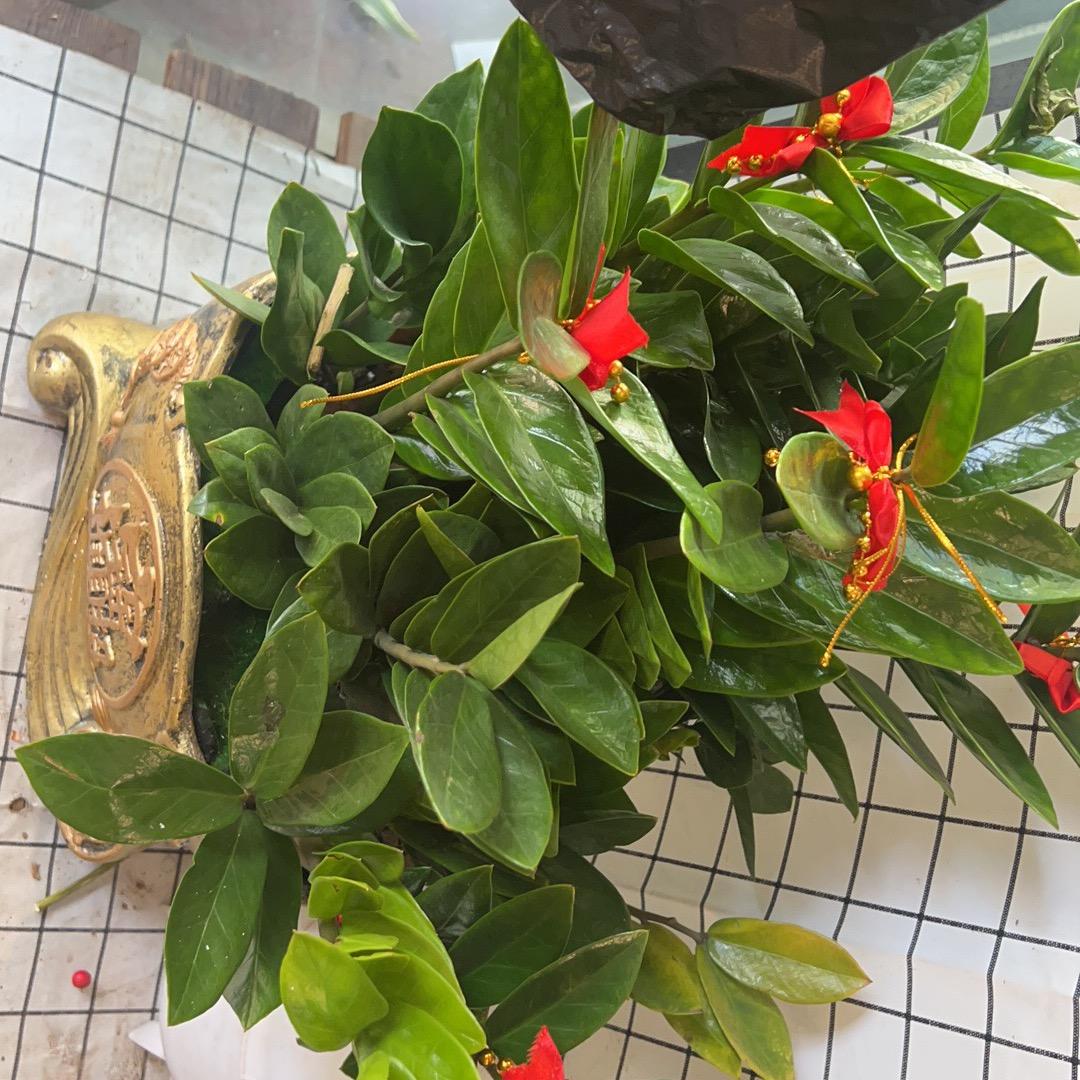 开开心心ರ_ರ 心塞