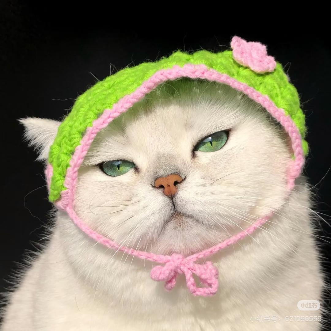 嘻嘻好物衣橱（努力版