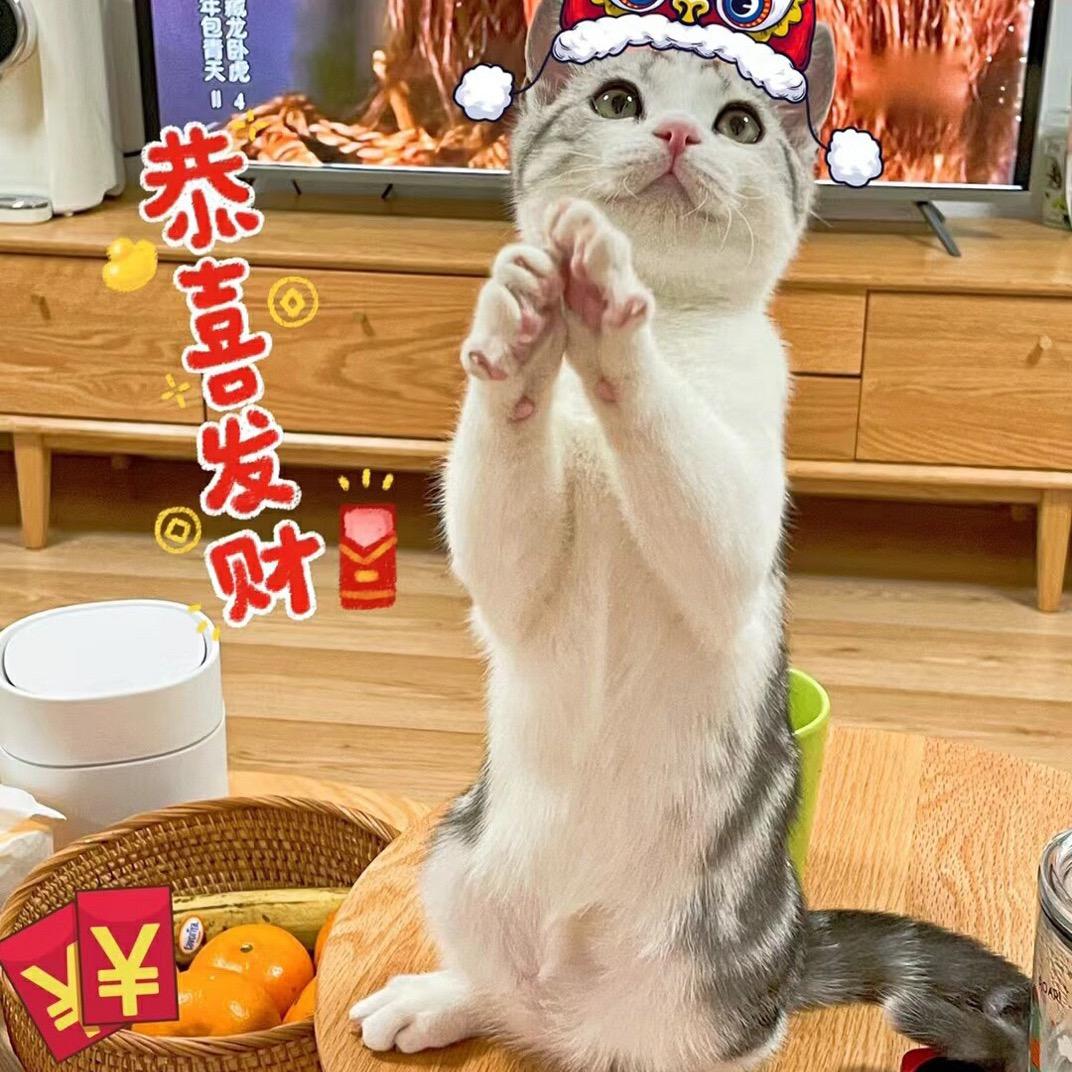 木斯内衣店