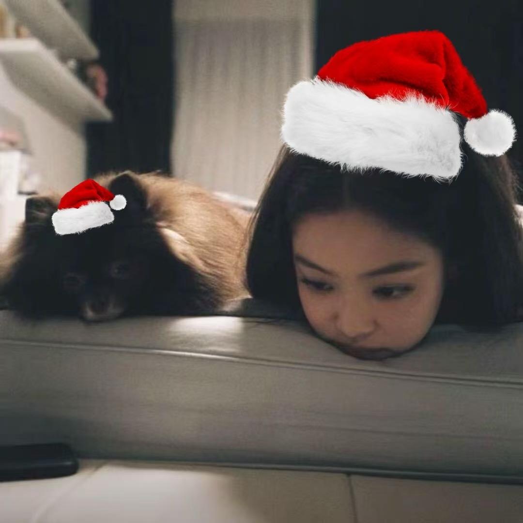 코이（小依）🏀