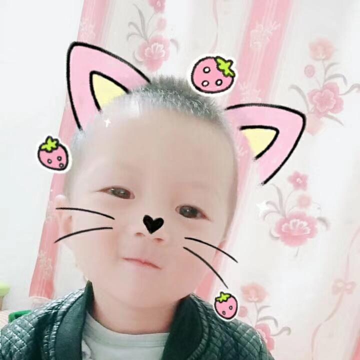 李凤爱玛电动车行