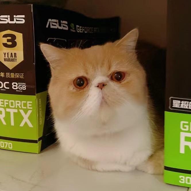 装机喵旺旺财-南京永世翱翔DIY电脑