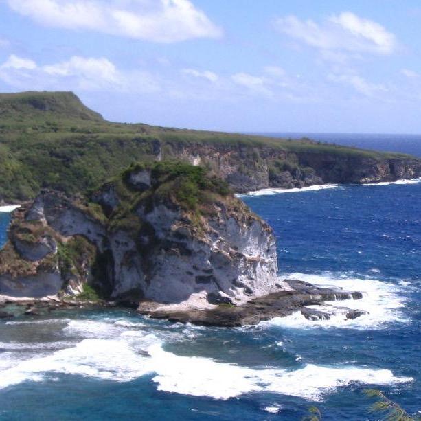 海里捞大鱼