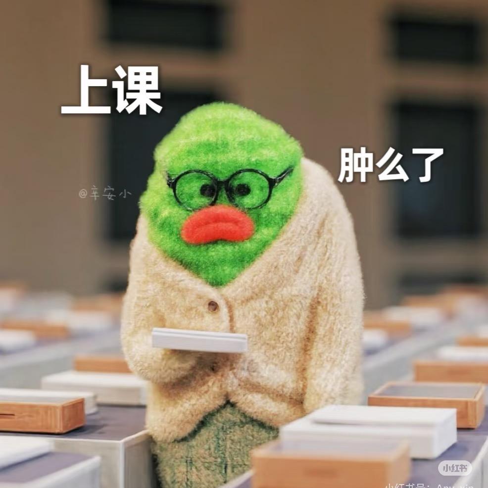 四明治🥪🐻