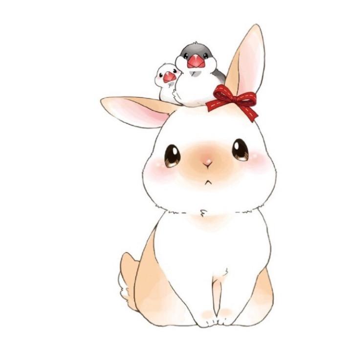 莹莹✨老师