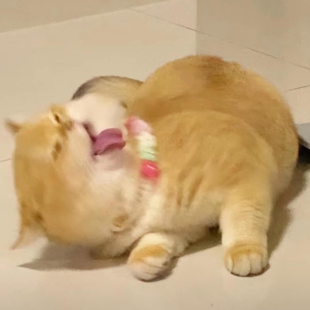等我逢一场春