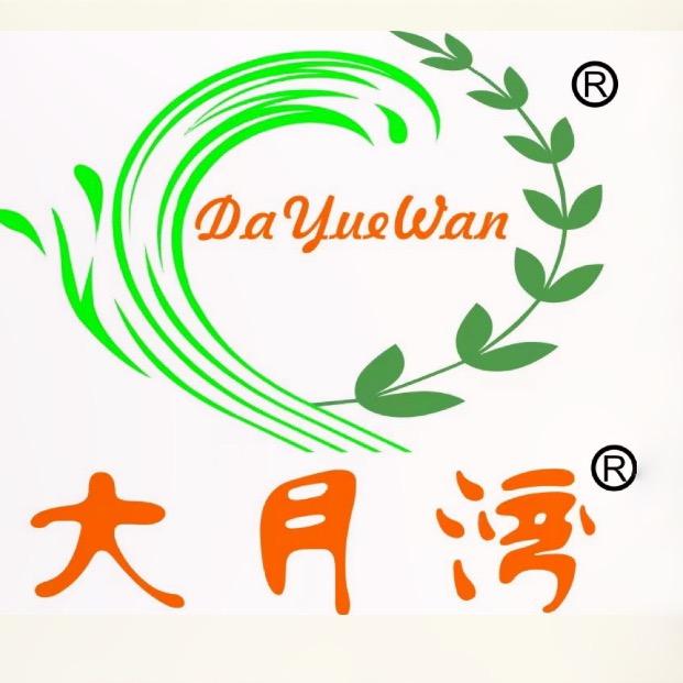 大月湾（面总统）上海直发